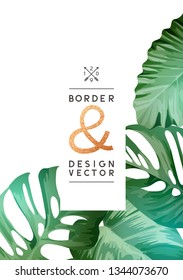 A selection of tropical leaves on a frame design background. Vector illustration.