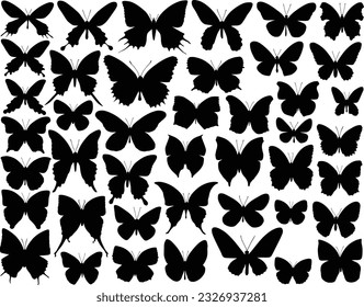 Selection of vector butterfly outlines and silhouettes