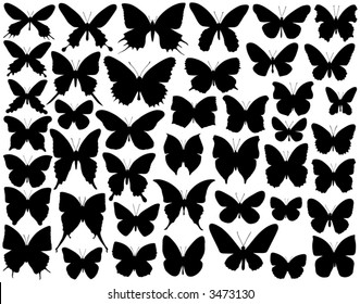 Selection of vector butterfly outlines and silhouettes