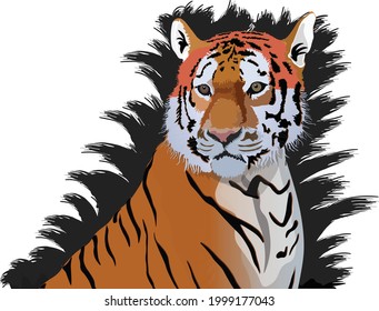 Toma selectiva de un tigre de Bengala con fondo de hierba borrosa