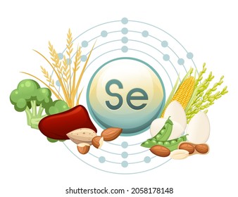 Selenium capsule with molecular structure and the products in which it is contained vector illustration