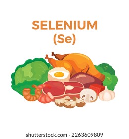 Selen (Se) in Nahrungssymbol Vektorgrafik. Selenium-Lebensmittelquellen, Vektorgrafik einzeln auf weißem Hintergrund. Paranüsse, Fleisch, Puten, Kohlvektor. Pile von gesunden frischen Lebensmitteln