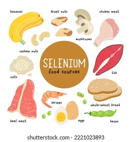 Selenium vector stock illustration. Food products with a high content of the mineral. tuna fish, meat, mushrooms, shrimps, brazil nuts, cashew, oats, bread, beans. Information poster. Food, diet.