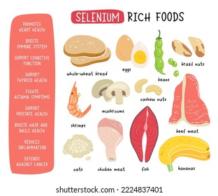 Selenium vector stock illustration. Food products with a high content of the mineral. tuna fish, meat, mushrooms, shrimps, brazil nuts, cashew, oats, bread, beans. Information poster. Food, diet.