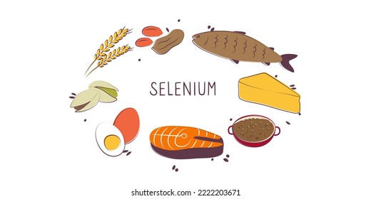 Selenium-containing food. Groups of healthy products containing vitamins and minerals. Set of fruits, vegetables, meats, fish and dairy