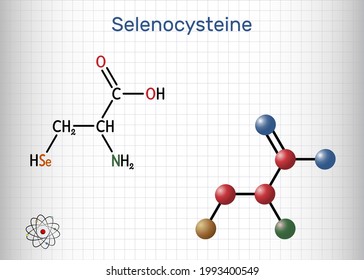 Selenocysteine, L-selenocysteine, Sec, U molecule. It is proteinogenic amino acid, selenium analogue of cysteine, building block of selenoproteins. Sheet of paper in a cage. Vector illustration