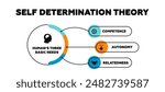 Self determination theory vector graph illustration