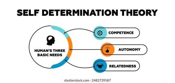 Self determination theory vector graph illustration