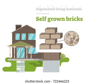 Self Grown Bricks - Engineered Living Material 