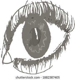 self made vector of beautiful eye