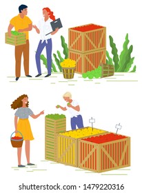 Seller with picking fruit, shopping apples, harvesting product in container. People buying vegetarian food, business and retail, agricultural work vector. Picking apple concept. Flat cartoon