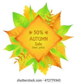 selling leaflet autumn leaves in vector on white background.