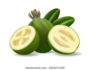 Sellowiana whole half and slices. Vector raw realistic feijoa fruits dessert isolated on white background