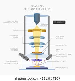 SEM Coloumn -Scanning electron microscopy in materials science - Stock Illustration as EPS 10 File