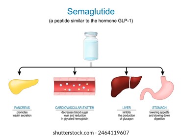 Semaglutida. Hormona péptica. Medicación contra la obesidad. Mecanismo de acción de la medicación antidiabética que se utiliza para el tratamiento de la diabetes tipo 2. Control de peso. Péptido similar al glucagón-1 GLP-1