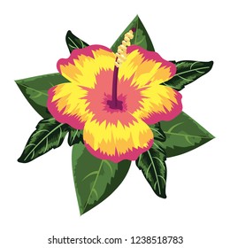 semaless floral pattern cartoon