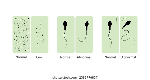 Seman Analysis Scientific Design. Vector Illustration.