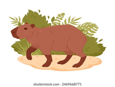 Semi aquatic capybara animal. Cartoon wild capybara mammal in natural habitat flat vector illustration. Cute capybara