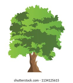
Semi deciduous elm tree flat icon
