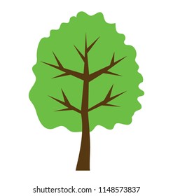 
Semi deciduous elm tree flat icon vector 
