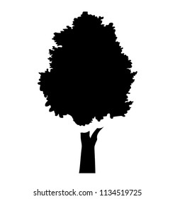 
Semi deciduous elm tree glyph icon
