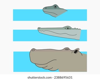 Semiaquatic animals: frog, crocodile, and hippopotamus