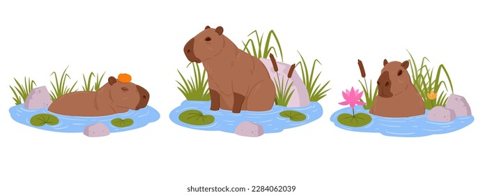 Semi-aquatic capybara. Cartoon cute capybaras sitting in water, funny wild animals. Herbivore mammal rodent flat vector illustration set