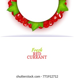 Semicircle colored frame composed of delicious red currant fruit. Vector card illustration. Red currant berry half-round frame for design of food packaging juice breakfast cosmetics tea detox diet