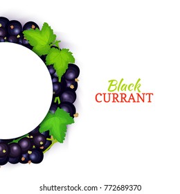 Semicircle colored frame composed of delicious black currant fruit. Vector card illustration. Blue currant berry half-round frame for design of food packaging juice breakfast cosmetics tea detox diet.
