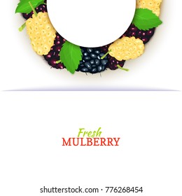 Semicircle colored frame composed of delicious mulberry fruit. Vector card illustration. Mulberryt berry half-round frame for design of food packaging juice breakfast cosmetics tea detox diet.