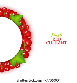 Semicircle colored frame composed of delicious red currant fruit. Vector card illustration. Red currant berry half-round frame for design of food packaging juice breakfast cosmetics tea detox diet