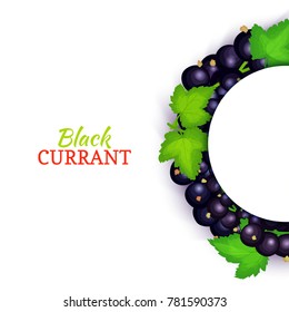 Semicircle colored frame composed of delicious black currant fruit. Vector card illustration. Blue currant berry half-round frame for design of food packaging juice breakfast cosmetics tea detox diet.