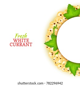 Semicircle colored frame composed of delicious white currant fruit. Vector card illustration. White currant berry half-round frame for design of food packaging juice breakfast cosmetics tea detox diet