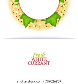 Semicircle colored frame composed of delicious white currant fruit. Vector card illustration. White currant berry half-round frame for design of food packaging juice breakfast cosmetics tea detox diet