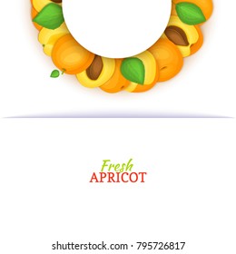 Semicircle colored frame composed of delicious apricot fruit. Vector card illustration. Fresh apricots half-round white frame for design of food packaging juice, breakfast, cosmetics tea, detox, diet