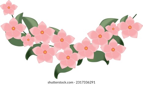 semicircular flowering branch with green leaves and delicate pink flowers