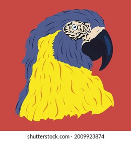 Semi-Realistic and Beautiful Parrot Head Vector Illustration 