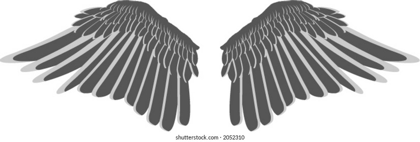 semi-realistic bird wings