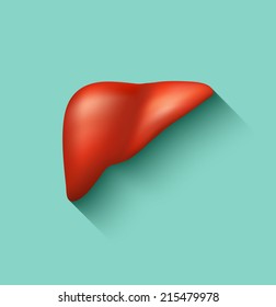 Semi-realistic vector human liver flat long shadow design