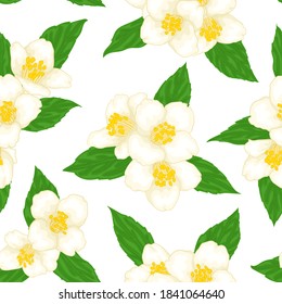 semilicio patrón ramificación jazmín con hojas verdes dibujos animados estilo acuarela aislado en fondo blanco. Flores ramas dibujadas a mano. Diseñar la tarjeta de saludo y la invitación. Ilustración del vector