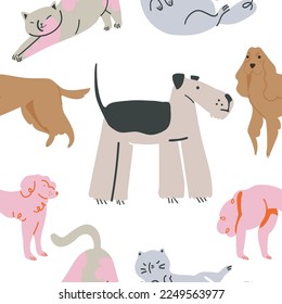 Semlles pattern. Cartoon dogs  and cats characters design collection with flat color in different poses. Vector illustration 