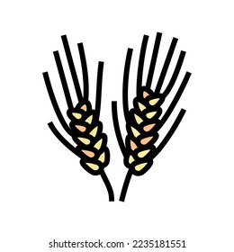 semolina plant healthy color icon vector. semolina plant healthy sign. isolated symbol illustration