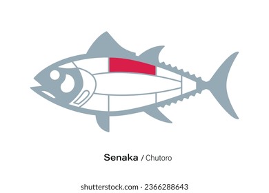 Senaka. Tuna Cuts line diagram.  Japanese style