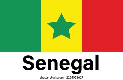Senegal flag logo create by illustration.