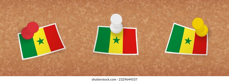 Senegal flag pinned in cork board, three versions of Senegal flag. Vector pushpins and flag set.