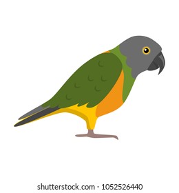 Senegal parrot icon in flat style. Exotic tropical bird symbol isolated on white background