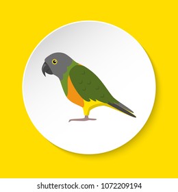 Senegal parrot icon in flat style on round button. Exotic tropical bird symbol isolated.