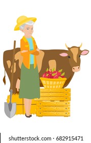 Senior caucasian farmer standing on the background of cow, shovel, crates and basket of apples. Farmer standing with crossed arms near cow. Vector flat design illustration isolated on white background