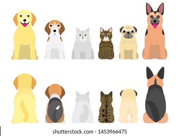 senior dogs and cats in a row, front and back