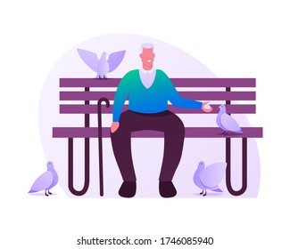 Senior Grey Haired Man Sitting on Bench in Park or Home Yard Feeding Doves. Aged Male Character Sparetime, Leisure and Hobby. Society Old People Group Market Segmentation. Cartoon Vector Illustration